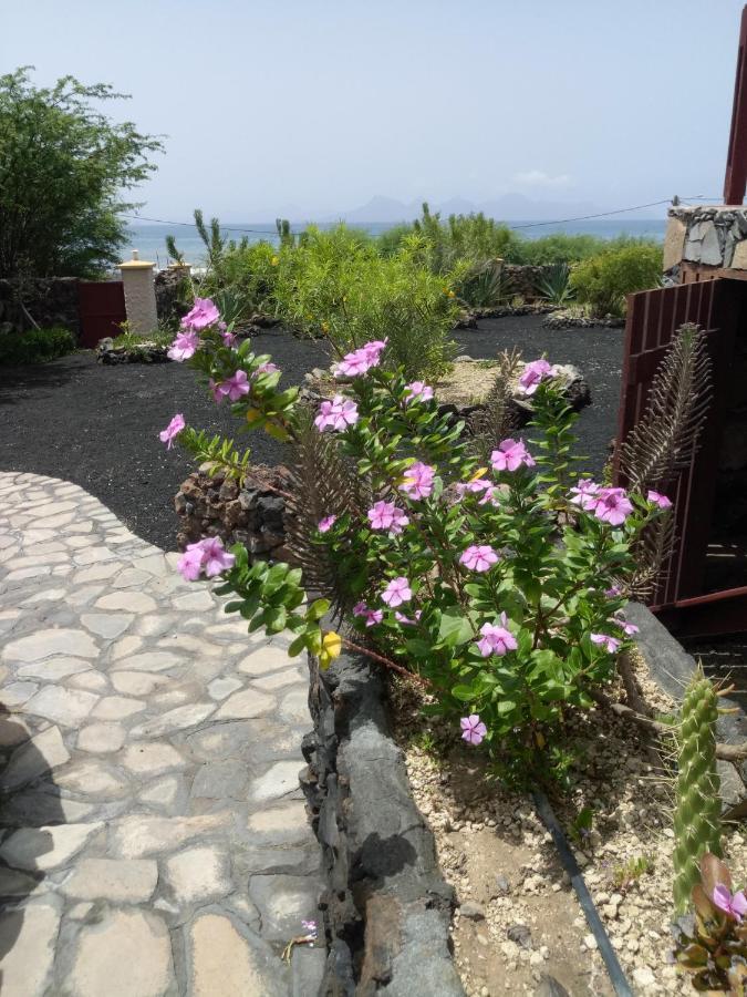 Porto Novo Coin De Paradis,Pavillon Doucimar מראה חיצוני תמונה